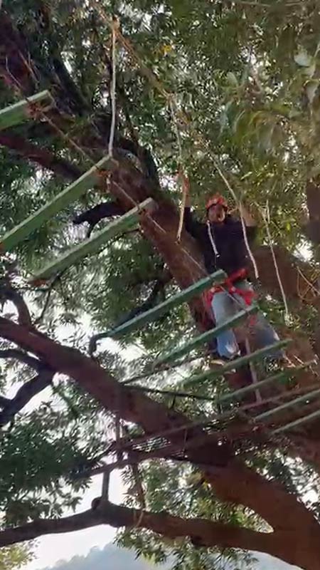 Republic Day celebration